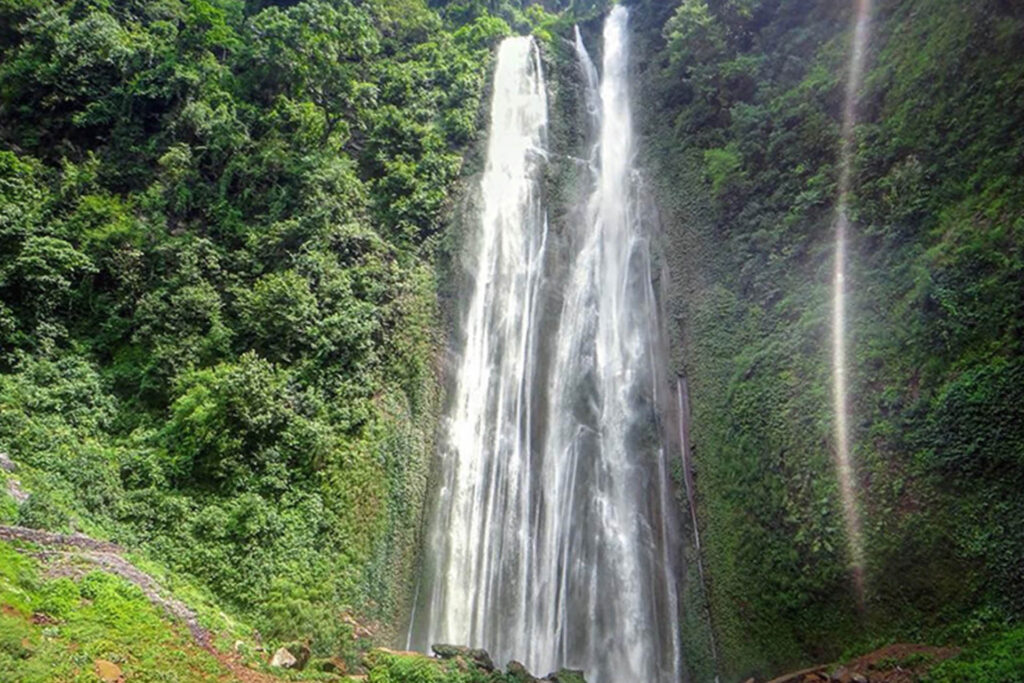 Jalbire
