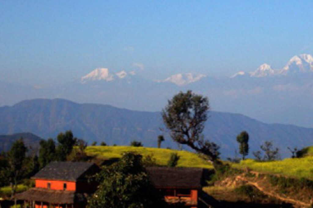 Siraichuli