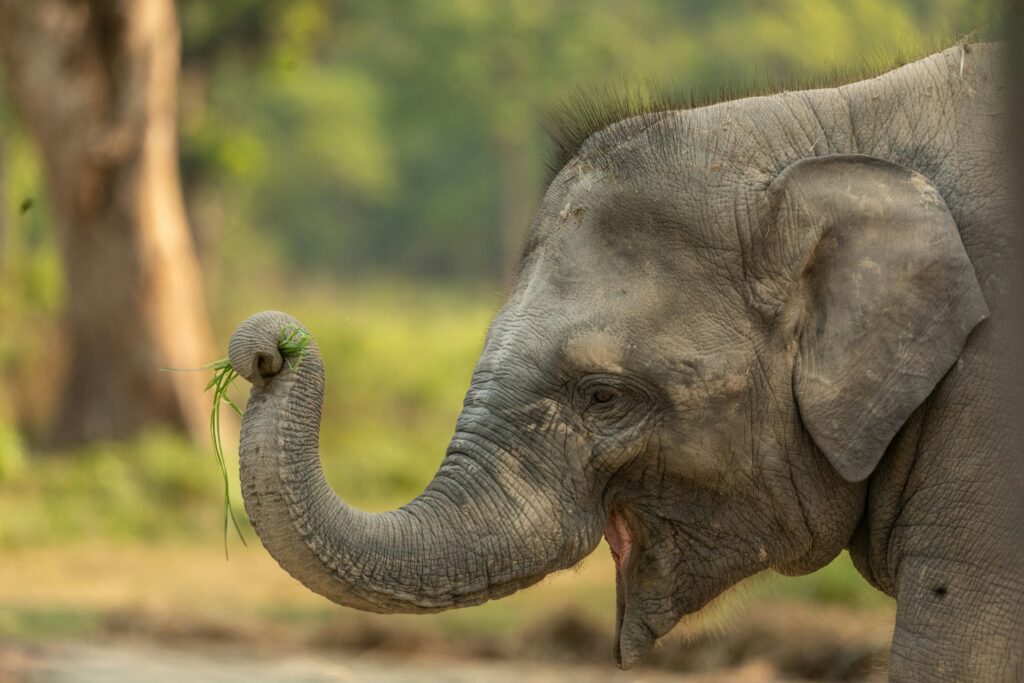Reliable holiday